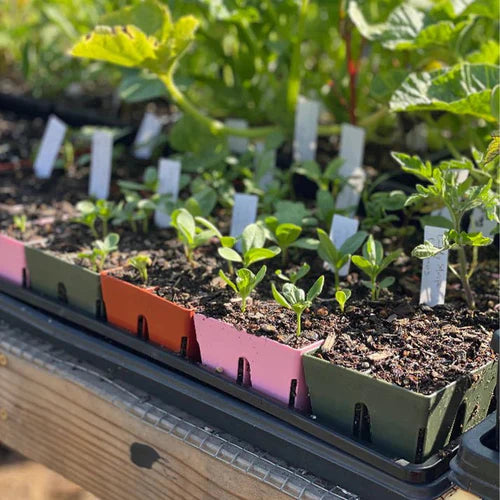 EPIC GARDENING 6-CELL SEED STARTING TRAYS