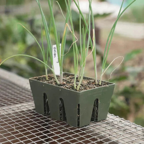 EPIC GARDENING 6-CELL SEED STARTING TRAYS