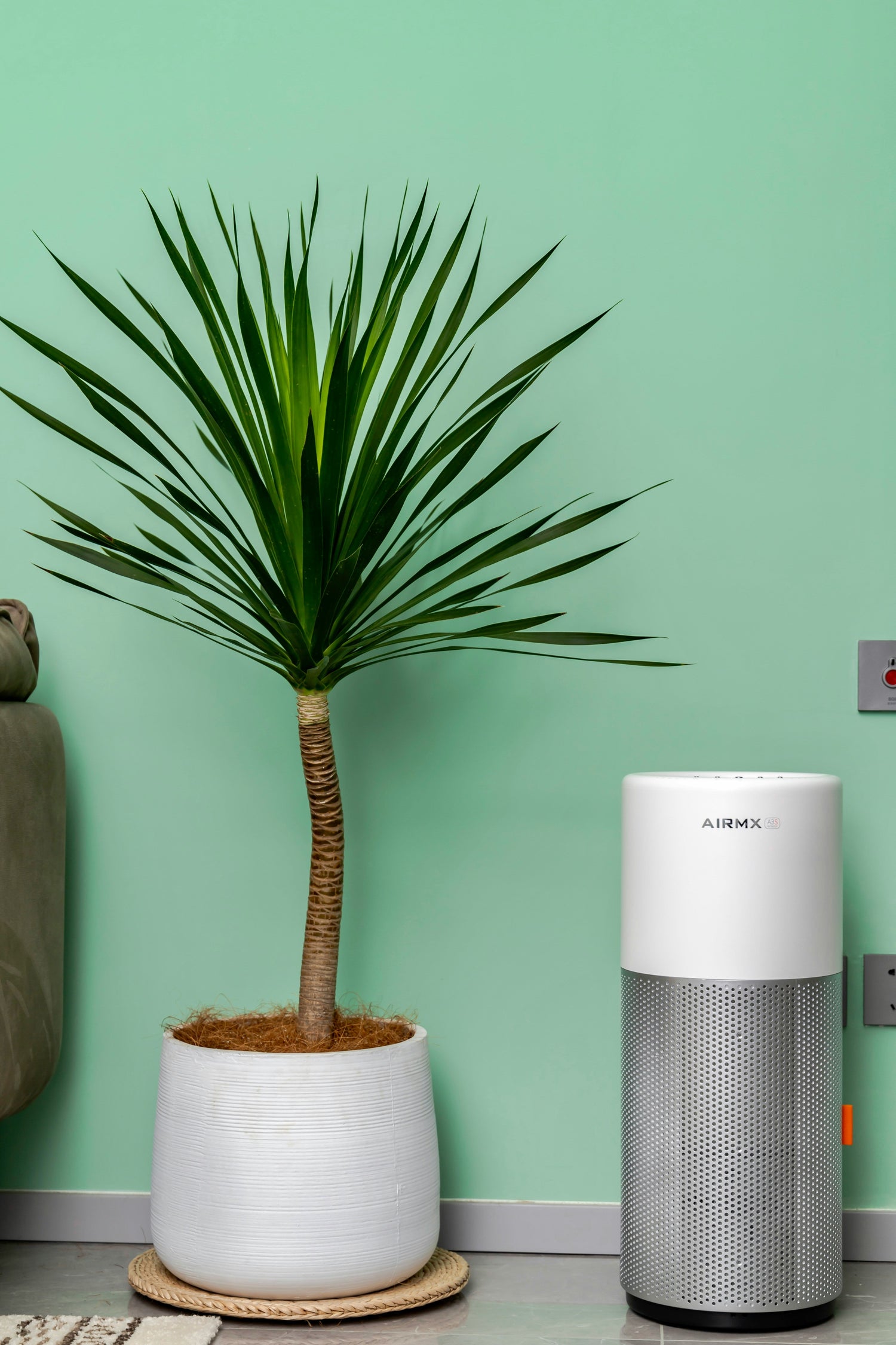 EcoSmart Home Essentials
